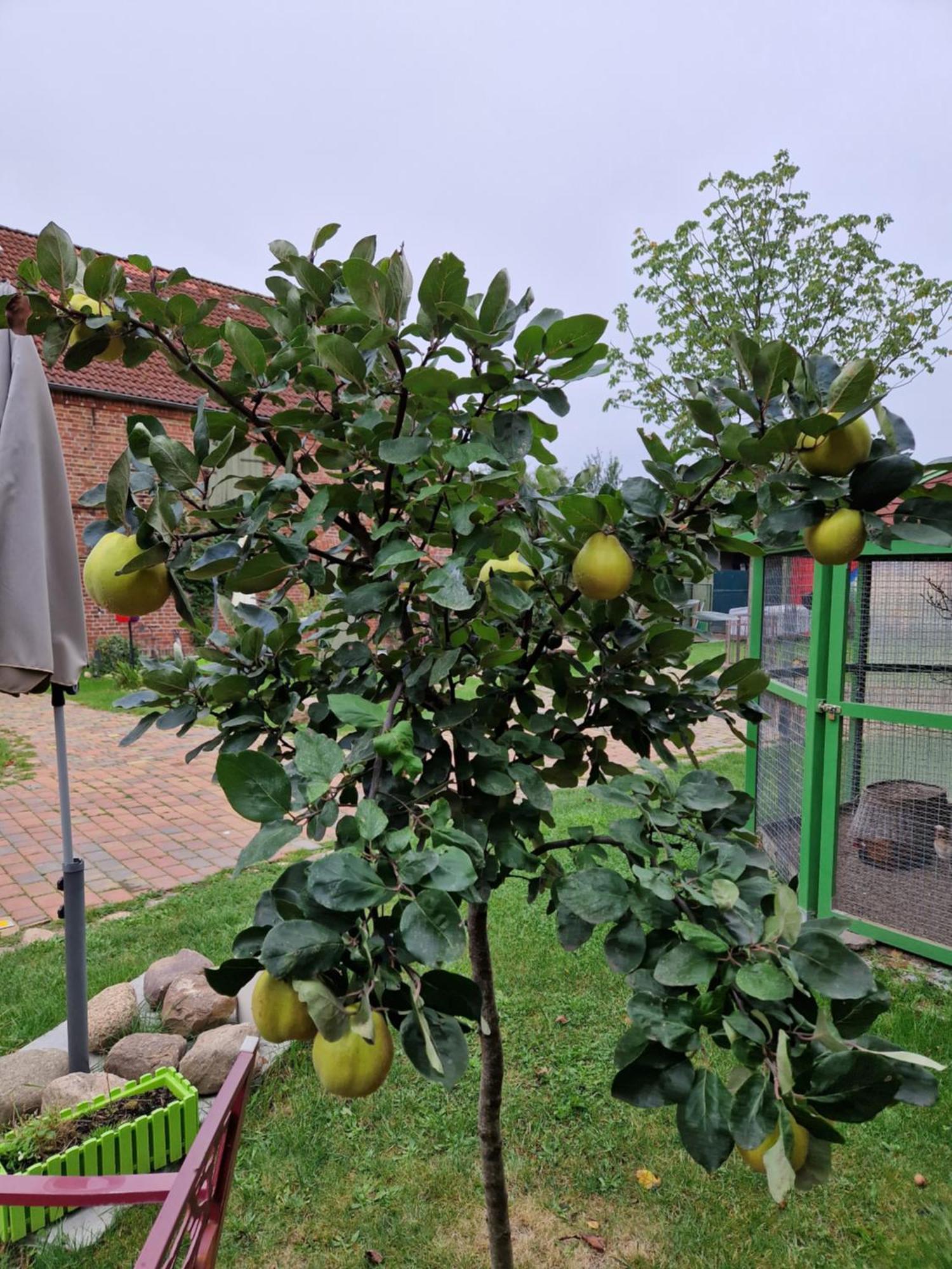 Maerchenhaft Urlauben Auf Dem Alpakahof Apartment Rambow Exterior photo